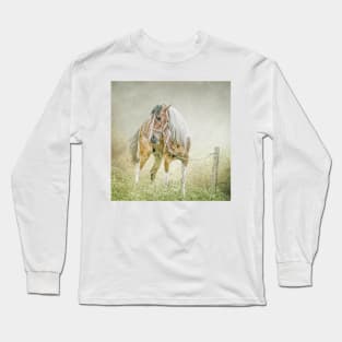 Tethered in the mist. Long Sleeve T-Shirt